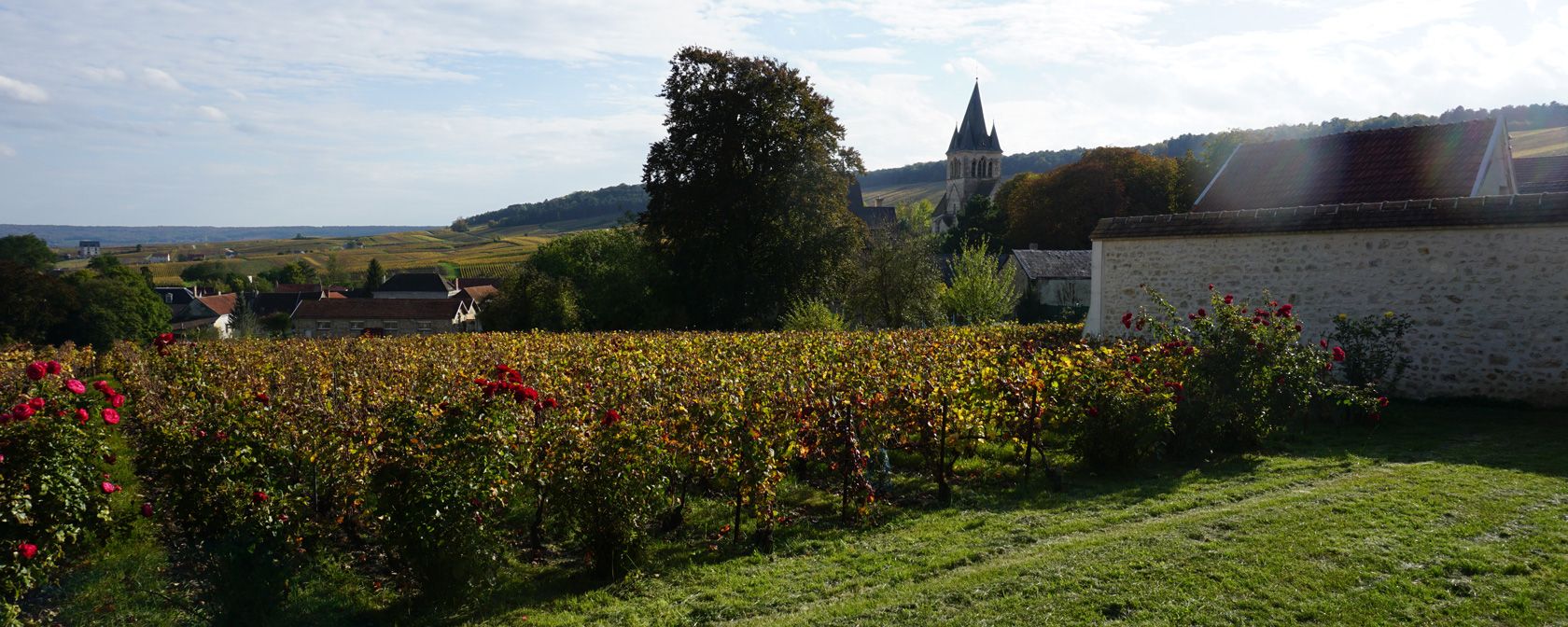 Ummauerter Weinberg (Clos) inmitten der Gemeinde Ville-Dommange. Foto: Champagner-club.de