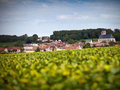 Champagne Le Brun de Neuville: Heimat