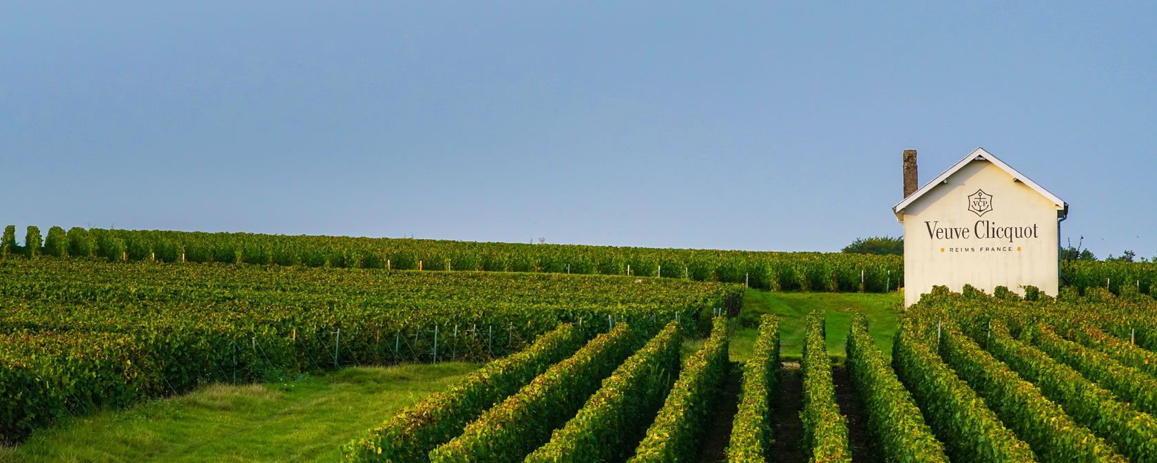 Champagne Veuve Clicquot: Weinberge vor der Ernte. Foto: Champagne Veuve Clicquot / Alexis Jacquin